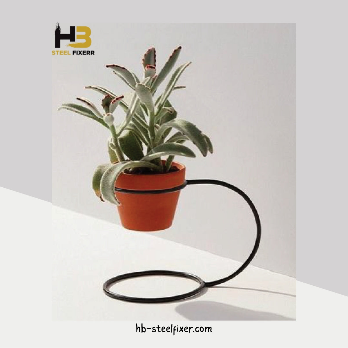Minimalist Loop Plant Holder